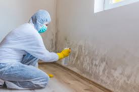 Best Attic Mold Removal  in Tuckerton, NJ