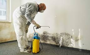 Best Emergency Mold Remediation  in Tuckerton, NJ