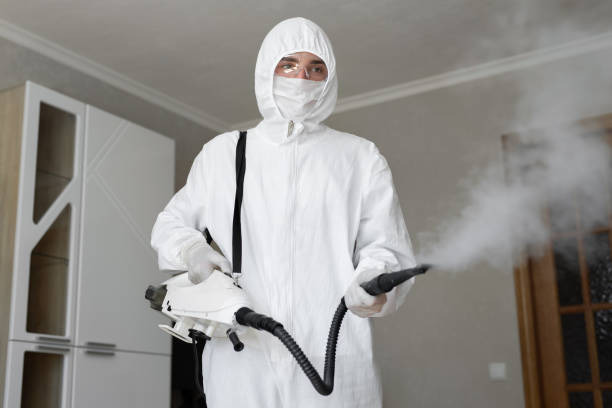  Tuckerton, NJ Mold Removal Services Pros